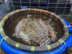 -宁海食府·涌宴(真和店)