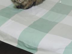 -北京恒爱动物医院(清景园分院)