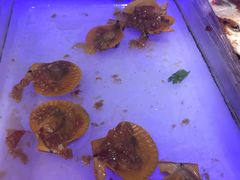 扇贝-大漠风烤肉火锅自助餐厅(鹰展店)