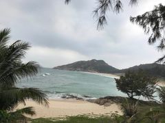 -广东惠东海龟国家级自然保护区
