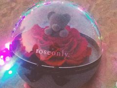 -ROSEONLY诺誓(青岛万象城店)