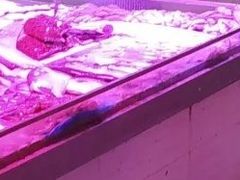 -柯子岭肉菜市场(景泰综合楼店)