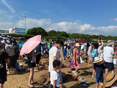 -碧海金沙