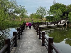 -长兴太湖图影湿地文化园