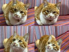 -那拉提疆味·烧烤新疆菜.清真(金楠天街店)