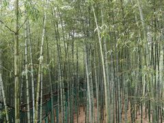 -陶祖圣境风景区
