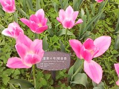 -国家植物园
