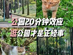 -广州珠江公园