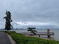 -深圳湾公园(南山区)