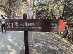 -那家小馆•北京菜•烤鸭(香山店)