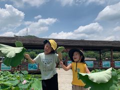 -红山村