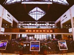 -黄山轩辕国际大酒店