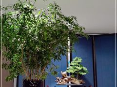 -顺峰(农展馆店)