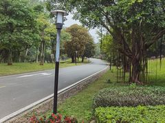 -福建鲤鱼洲酒店