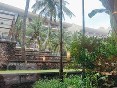 -采悦轩中餐厅·粤菜·海南菜(神州半岛喜来登度假酒店)