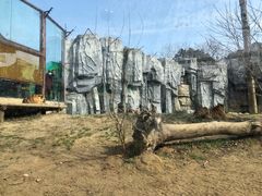 -常州淹城野生动物世界