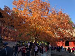 -香山公园-东宫门售票处