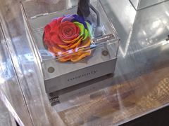 -ROSEONLY诺誓(广州K11店)