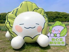-阳澄湖半岛旅游度假区