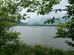 -大九湖