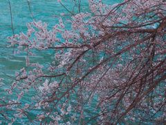-伊犁河风景区