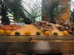 -怡聚轩全日制自助餐厅(大中华喜来登酒店)