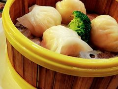 -香港新曜记茶餐厅(星耀城店)