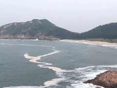 -广东惠东海龟国家级自然保护区