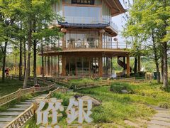 -长田漾湿地公园