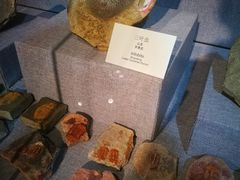 -烟台自然博物馆
