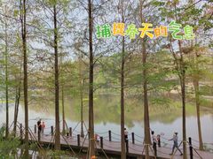 -重庆彩云湖湿地公园
