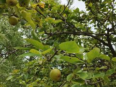 -梁鸿国家湿地公园