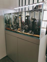 -芊芊若荀·身材管理旗舰店