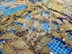 -驻海渔市(置信店)