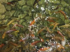 -泉城欧乐堡戏水湾艺术养生温泉