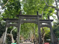 -杭州黄龙洞