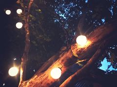 -Ginger(兴国路店)
