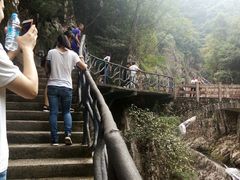 -龙湾潭国家森林公园