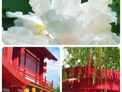-太阳宫公园