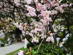 -莫愁湖公园