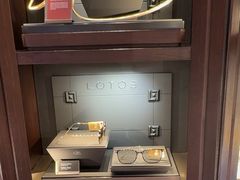-溥仪眼镜(北京SKP店)