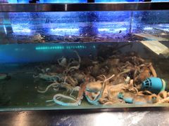 水产区-V-ONE西雅图海鲜自助餐厅(仓山万达广场店)