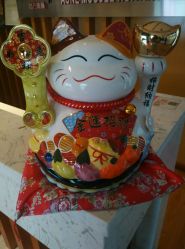 -苗方清颜专业祛痘养生