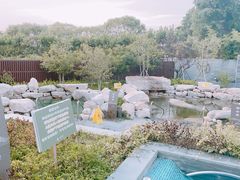 -太阳岛度假酒店