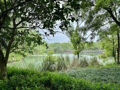 -西溪国家湿地公园