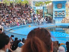 -华夏文旅海洋公园