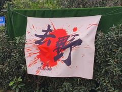 -桃源山庄·水蜜桃采摘·柴火鸡·烧烤团建(龙泉山店)