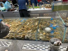 -半岛听涛蒸汽海鲜自助(K11店)