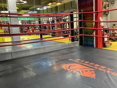 -大焱搏击·泰拳·拳击俱乐部(大柏树店)