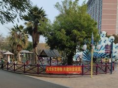 -灵玲国际马戏城